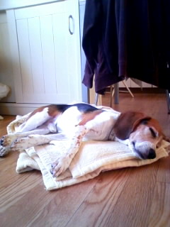 �ѕz�����ł���΁A