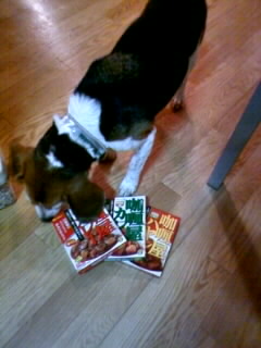 ����͂ǂ�ɂ���H