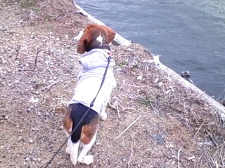 �t�͂܂����Ȃ��c�B