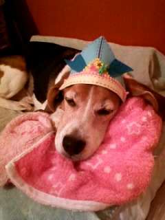 ���[�܁[���[�H�אH�[�ׁ[�ɂ����[�񂪁[