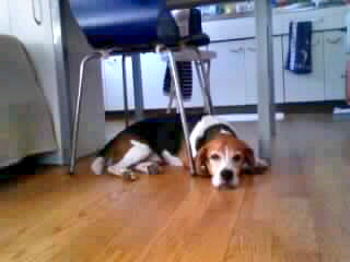 �f���[��