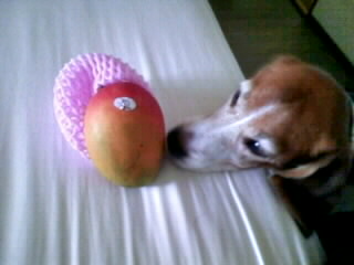 ���[�[�[�[�[