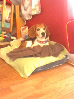 ���u���[�I�I�I