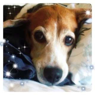 ��������㉤�q�B