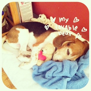 ���܂����D���D���I