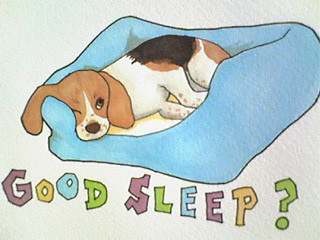 ���������good sleep�̗��B