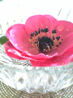 ���̐�����