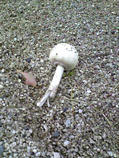 �U������