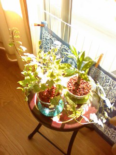 �݂ǂ肿���B