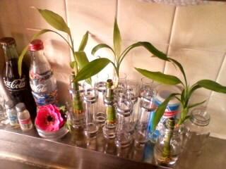 �o���u�[�����B