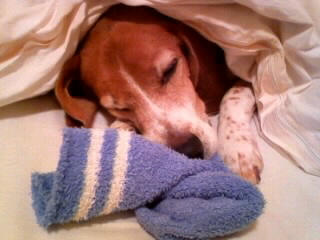 �Q���������c�B