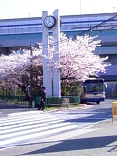 �b�q���w�O�̍������J����B