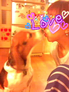 �L�X�~�[�f�b�h���B�g�D�i�C�I