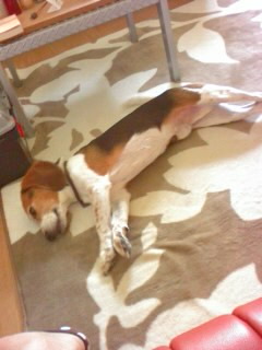 �̂т̂с`�I�I