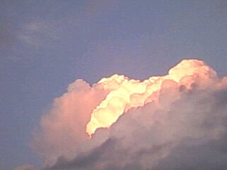 �����_�B