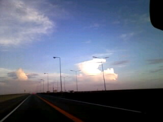 �Ԃ̑����猩�������_