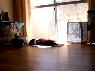 �����܂�