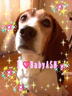 �҂��󂯉摜�B