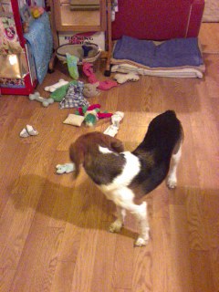 �������U�炩�����B