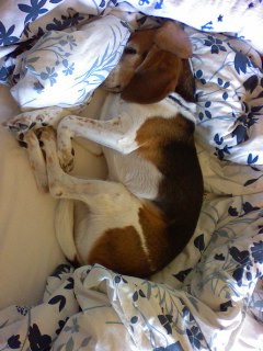 �������c�I